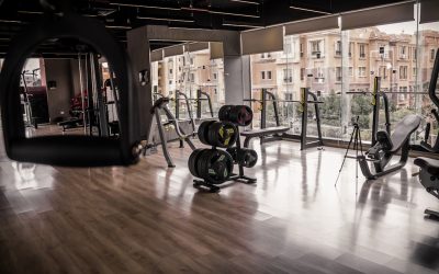 Getting Fit in the Market: A Comprehensive Guide to Estudios de Mercado Fitness